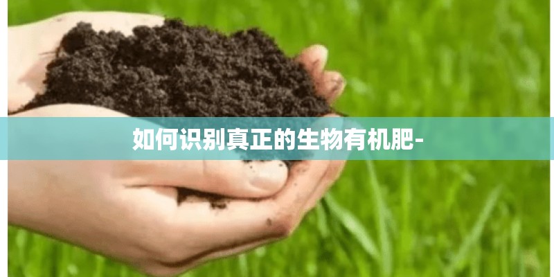 密云区必去的10个景点