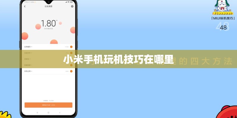 小米手机玩机技巧在哪里
