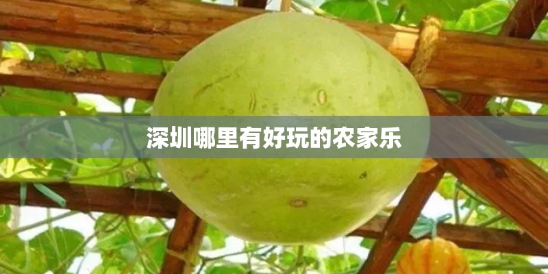 深圳哪里有好玩的农家乐