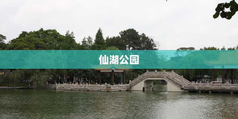仙湖公园