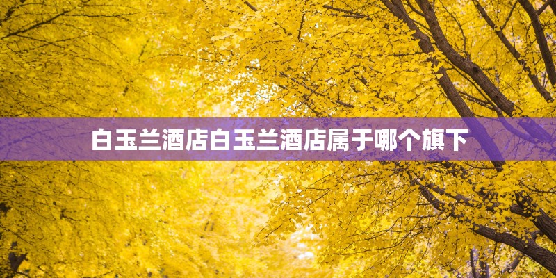 白玉兰酒店白玉兰酒店属于哪个旗下