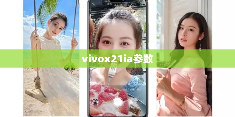 vivox21ia参数