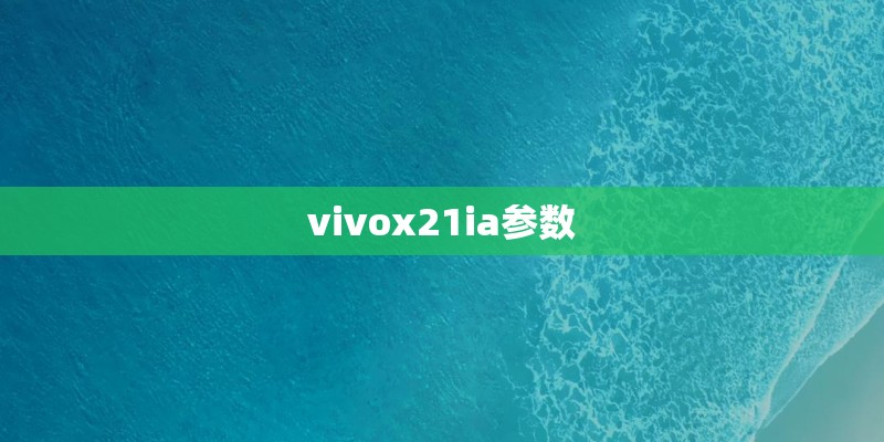 vivox21ia参数