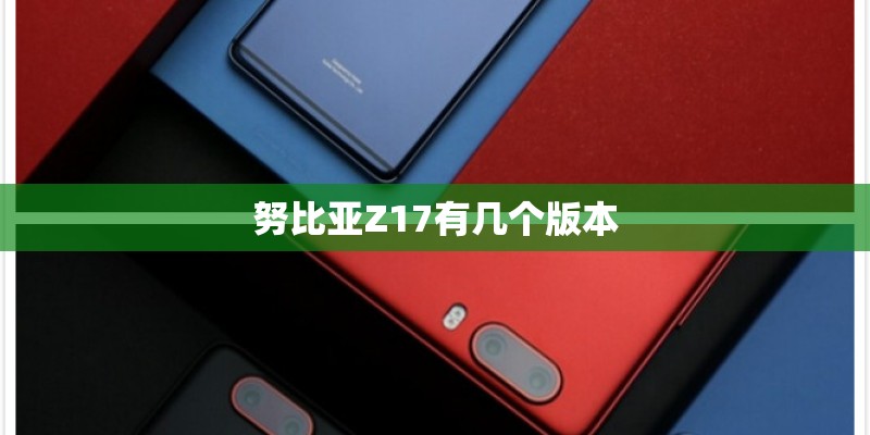 努比亚Z17有几个版本 努比亚Z17有几个版本