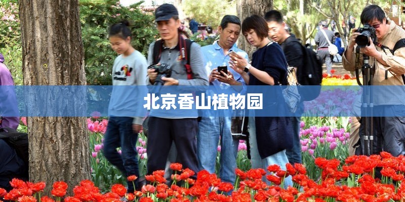 北京香山植物园
