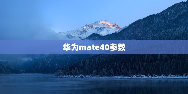 华为mate40参数