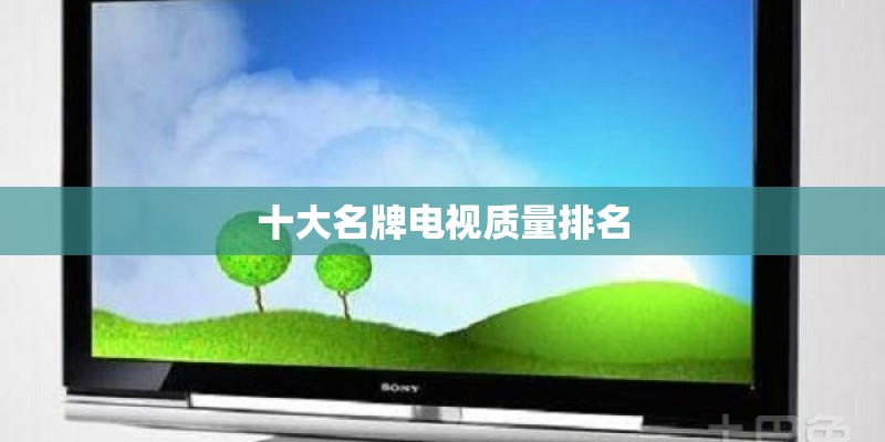 十大名牌电视质量排名