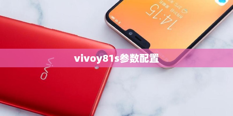 vivoy81s参数配置