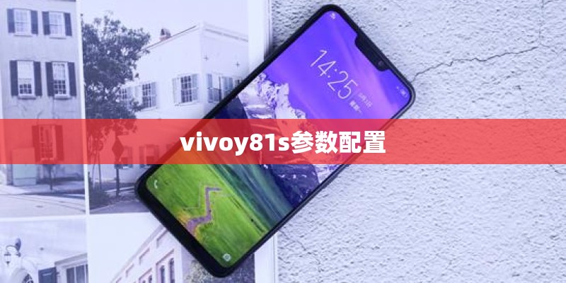 vivoy81s参数配置