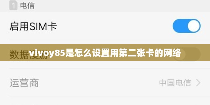 vivoy85是怎么设置用第二张卡的网络