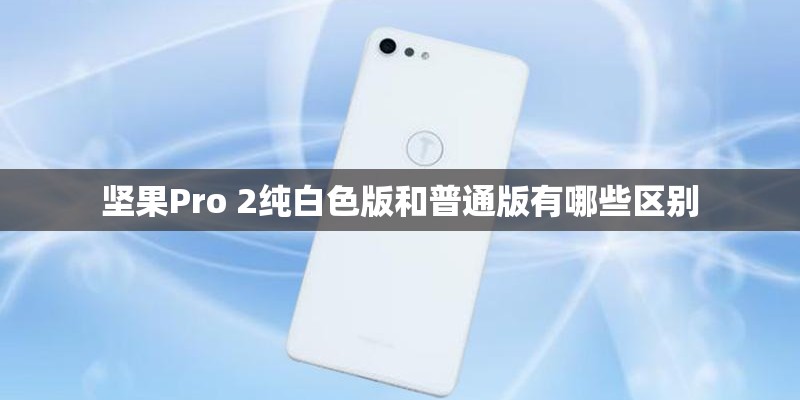 坚果Pro 2纯白色版和普通版有哪些区别