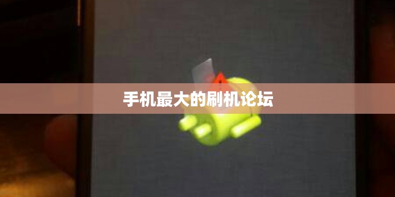 手机最大的刷机论坛