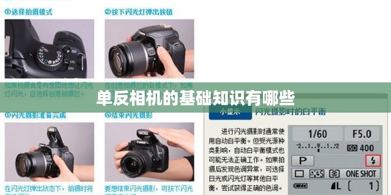 单反相机的基础知识有哪些