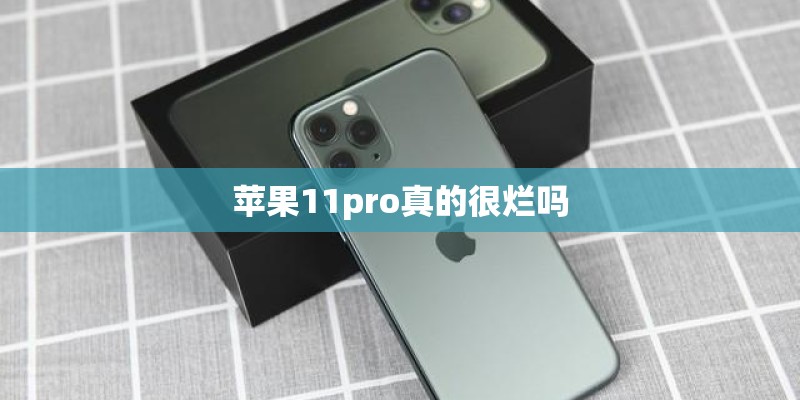 苹果11pro真的很烂吗
