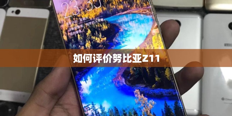 如何评价努比亚Z11