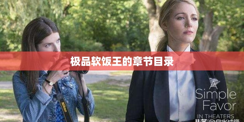 极品软饭王的章节目录