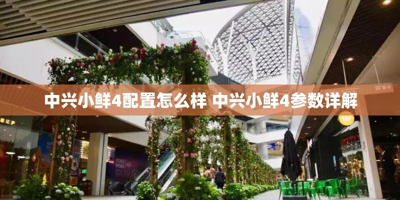vivo Y85手机屏幕是多大的？