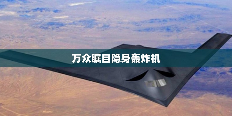 万众瞩目隐身轰炸机 万众瞩目隐身轰炸机