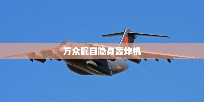 万众瞩目隐身轰炸机 万众瞩目隐身轰炸机