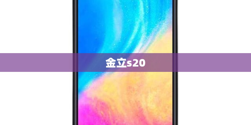 金立s20