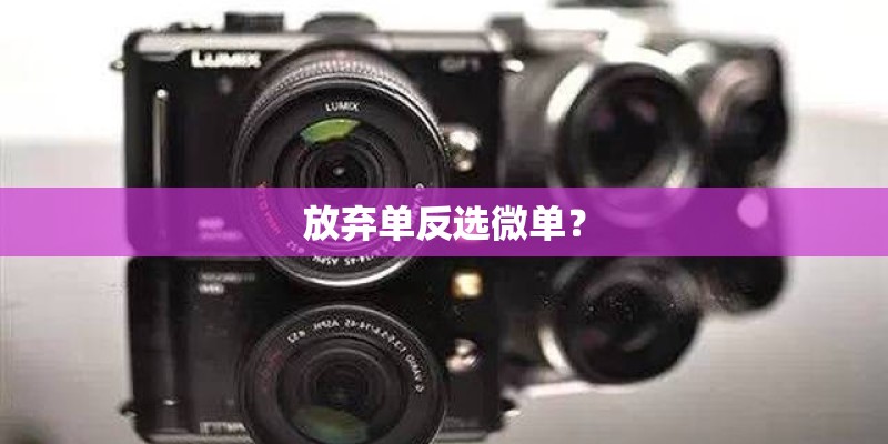 放弃单反选微单？