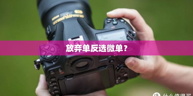 放弃单反选微单？