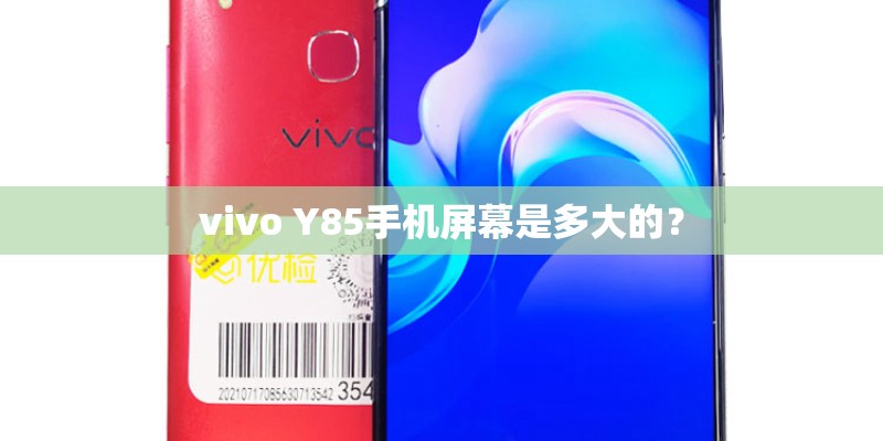 vivo Y85手机屏幕是多大的？